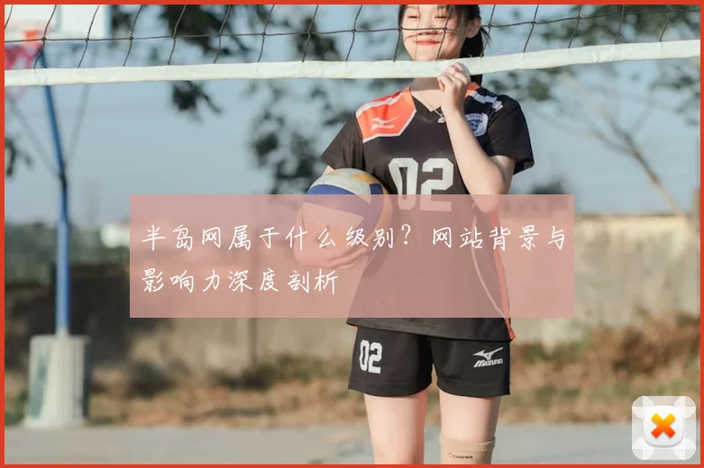 半岛网属于什么级别？网站背景与影响力深度剖析